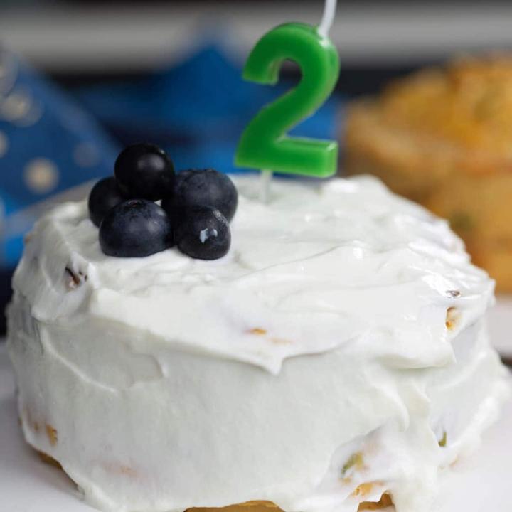 Dog birthday cake ready with Yogurt frosting